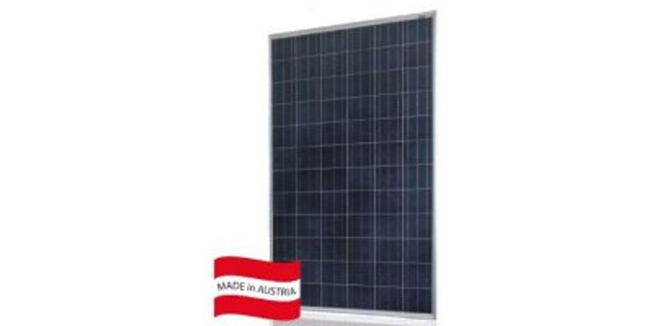 SUN VALUE - Model SV-280/285/290/295 Pl-T - High-Performance Photovoltaic Modules
