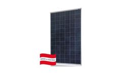 SUN VALUE - Model SV-280/285/290/295 Pl-T - High-Performance Photovoltaic Modules
