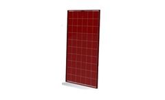 Sunerg - Model Serie X-Color - Colored Polycrystalline Photovoltaic Module 60 Cells