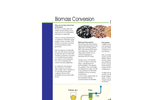 Biomass Conversion Boiler Brochure