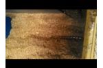 Traveling Auger in Biomass Video