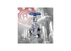 Model Class 150 - Stainless Steel Gate Valve with Rising Stem