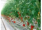 Boyce - Tomato Grow Bags for Longer Life