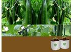 Boyce - Most Suitable Grow Bags for Cucumber Cultivation