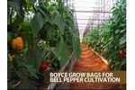 Boyce - Grow Bags for Bell Pepper Cultivation
