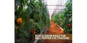 Grow Bags for Bell Pepper Cultivation