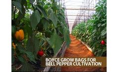 Boyce - Grow Bags for Bell Pepper Cultivation