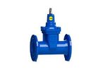 Fucoli Somepal - Model S15 PN10/16 16.201 - Soft Sealing Gate Valve 3000 For Gas