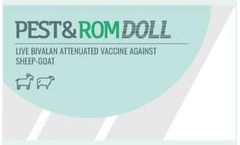 Romdoll - Pest Vaccine