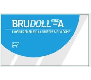 Brudoll - Model A Genç - Female Cattle Injectable Suspension Lyophilizate Vaccine
