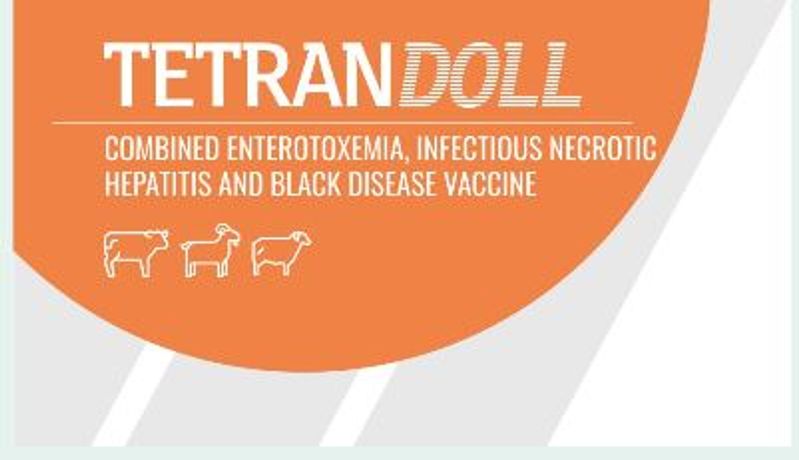 Tetrandoll - Combined Enterotoxemia Infectious Necrotic Hepatitis and Blackleg Disease Vaccine