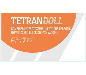 Tetrandoll - Combined Enterotoxemia Infectious Necrotic Hepatitis and Blackleg Disease Vaccine