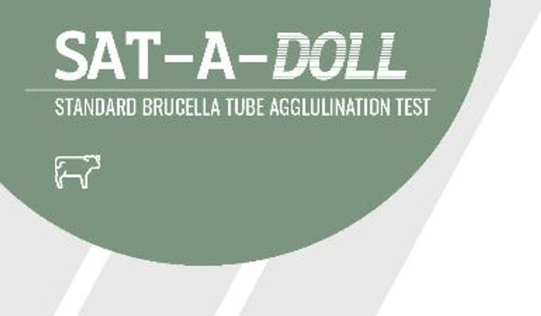 Sat-A-Doll - Standard Brucella Tube Agglulination Test Vaccine