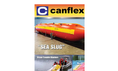 Sea Slug Brochure