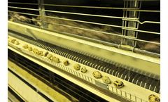 Gures - Model BDY-60 - Quail Layer Cage