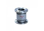 Onero - Model ONR 14 CSC 11 - Flanged End Vertical Lift Check Valve