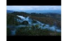 Longrayfog Fogging Machine Protection Forest Plants By Using The Spraying Pesticides | Fog Sprayers Video