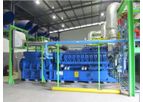 Hofstetter - Biogas Cogeneration Systems