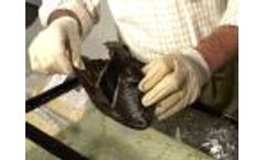 Oil soaked water fowl cleaned with PRP - Video
