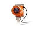 Flamgard Plus - Flameproof (Exd) Flammable Gas Detector
