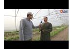 Formulas greenhouses Jerusalem and others Video