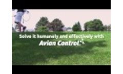 Bird Repellent Commercial Building | Non-Toxic Chemical Bird Control Video