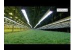 Valoya LED Lights in Marttila - Video