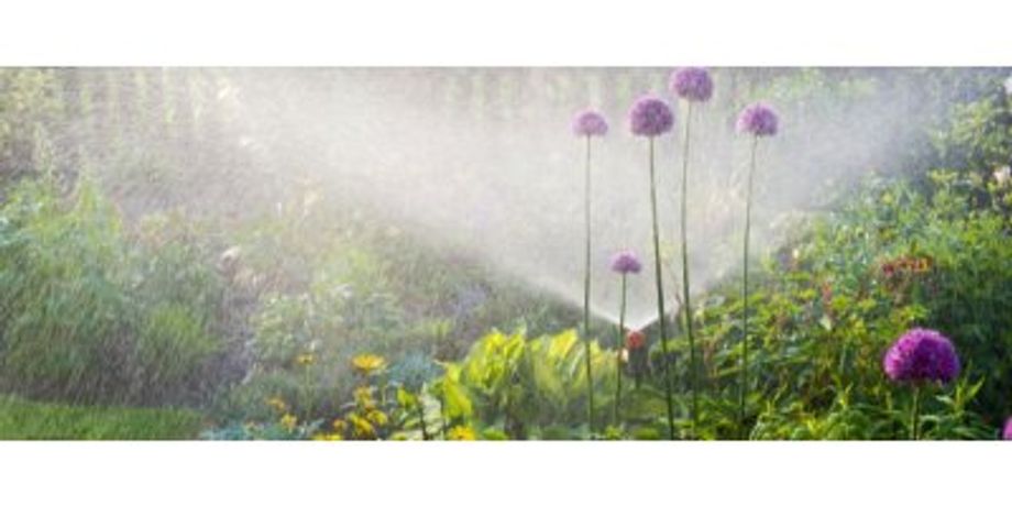 Residential Irrigation Design Service