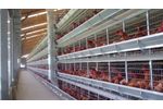 Alaso - Layer and Pullet Cage Systems  - Video