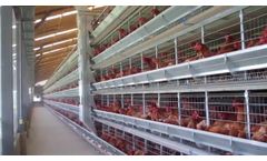 Alaso - Layer and Pullet Cage Systems  - Video