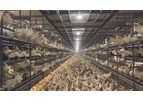 Alaso Layer Volary - Model LV950 - Multi-Tier Aviary System for Cage Free Production