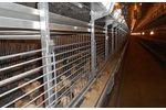 Alaso - Model PS240 - Pullet Stacked System