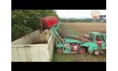 Walnut Harvester R19 Video