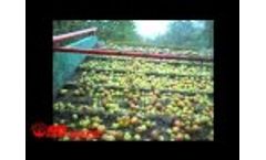 AMB Rousset - Ramasseuse A Pommes R35 Video