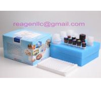 REAGEN - Model RNM98001 - Aflatoxin M1 ELISA Test Kit