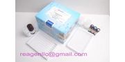 Nitrofurantoin (AHD) ELISA Test Kit