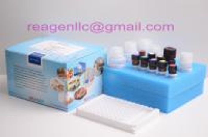 REAGEN - Model RND99070 - Amoxicillin elisa kit