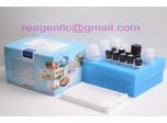 Tilmicosin ELISA Test Kit