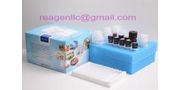 Tilmicosin ELISA Test Kit