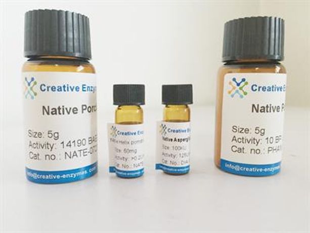 Native Bovine β-Galactosidase - Chemical & Pharmaceuticals