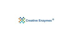 Creative Enzymes Launched Tn5 Transposase for Genetic Experimentation