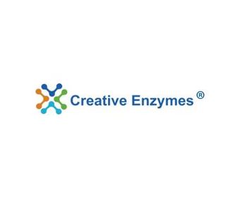 Creative Enzymes Launched Tn5 Transposase for Genetic Experimentation