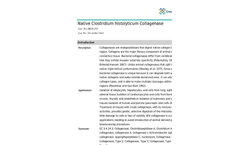 Creative Enzymes - Model DIGS-253 - Native Clostridium Histolyticum Collagenase Brochure