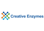 Creative Enzymes - Model DIGS-253 - Native Clostridium Histolyticum Collagenase