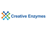 Creative Enzymes - Model SUG-004 - Fungal Alpha Amylase