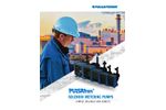 PULSAtron Electronic Metering Pump - Brochure
