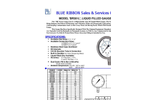 BR301L Industrial Gauge spec sheet (PDF 171 KB)