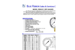 BR201D Standard Gauge spec sheet (PDF 202 KB)