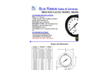 BR4501 Process Gauge spec sheet (PDF 371 KB)