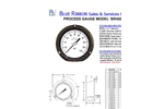 BR4502 Process Gauge spec sheet (PDF 239 KB)